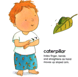caterpillar.jpg
