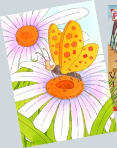 butterfly2.jpg