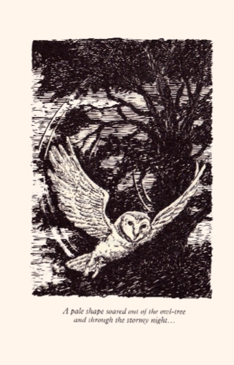 Owl_tree.2.jpg