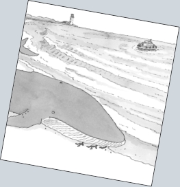 Whale_p8-9.jpg